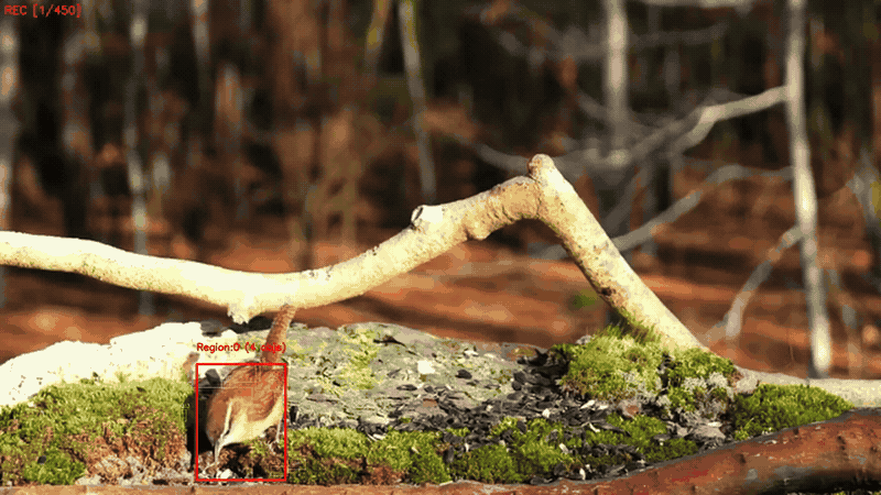 DBSCAN Motion Detection Demo