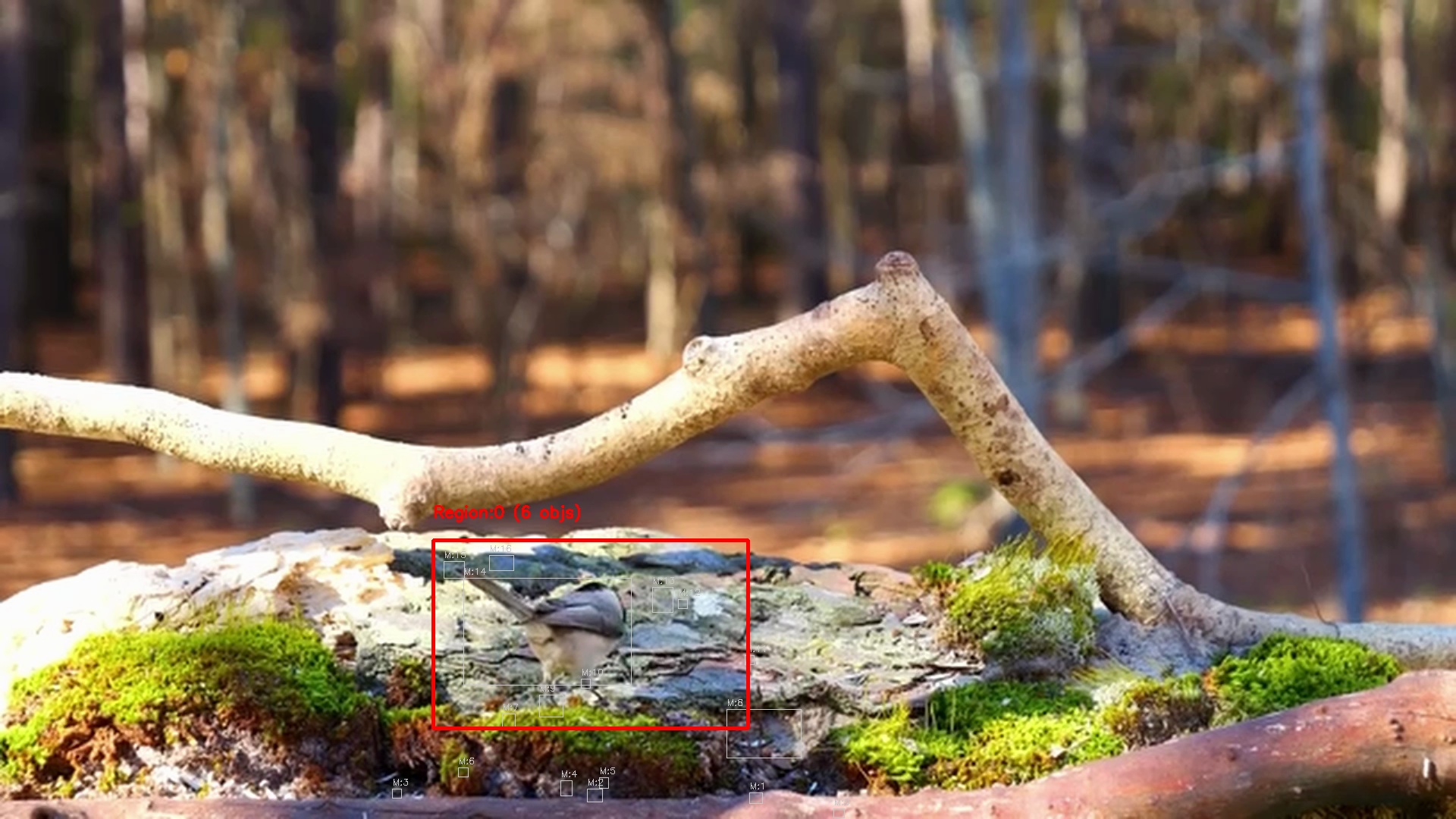 Motion detection frame 1