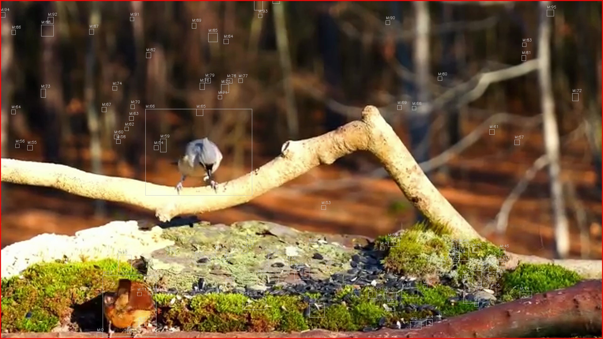 Motion detection frame 2