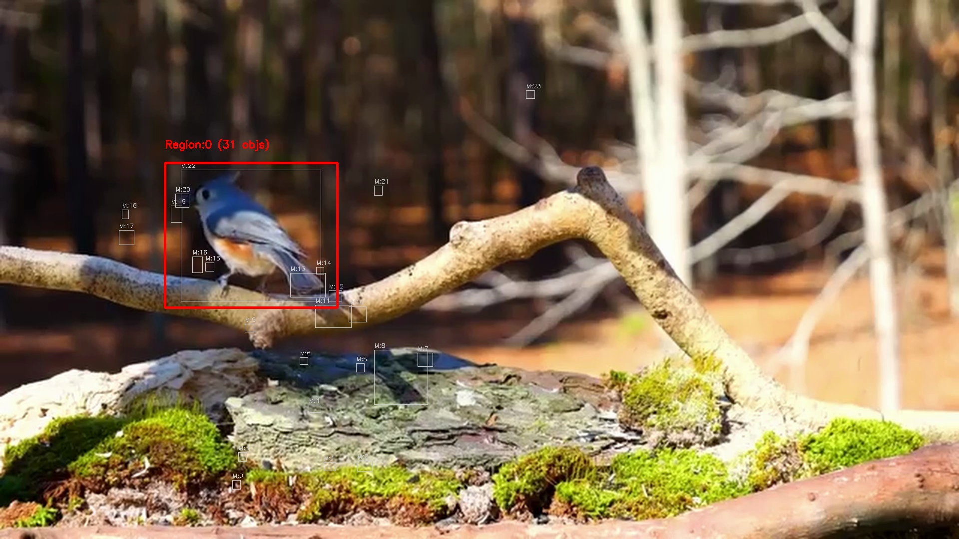 Motion detection frame 3