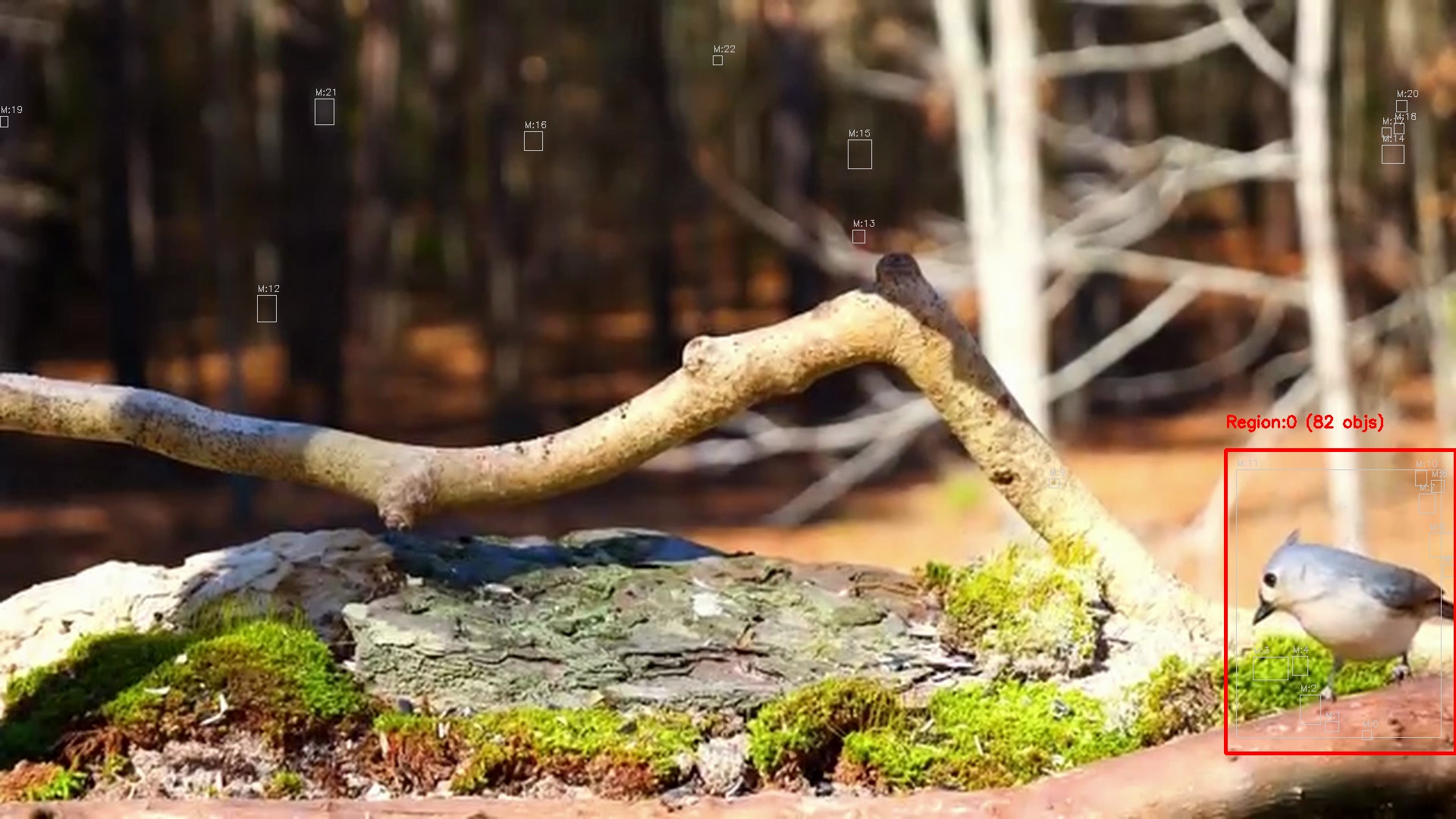 Motion detection frame 4