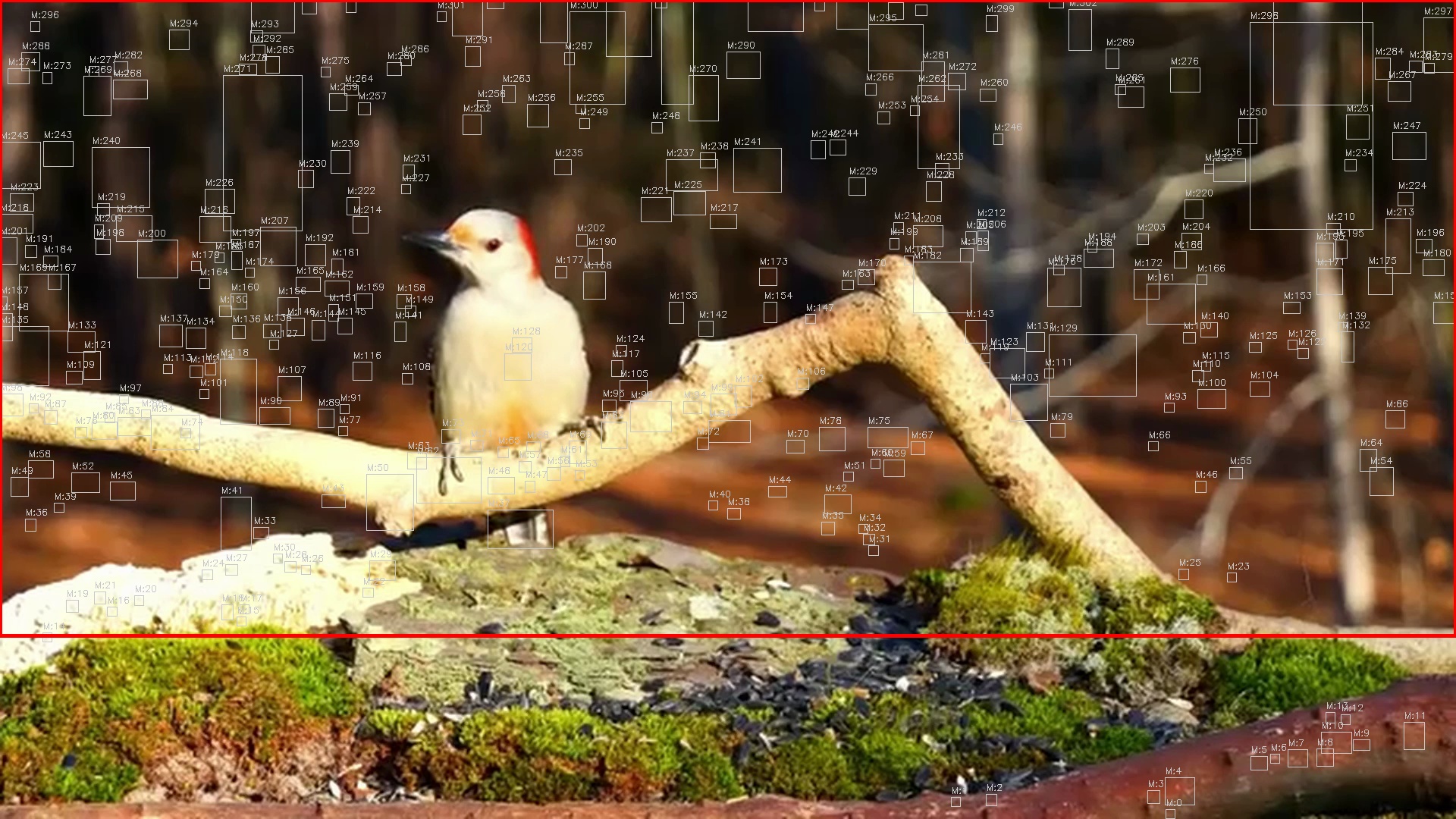 Motion detection frame 5