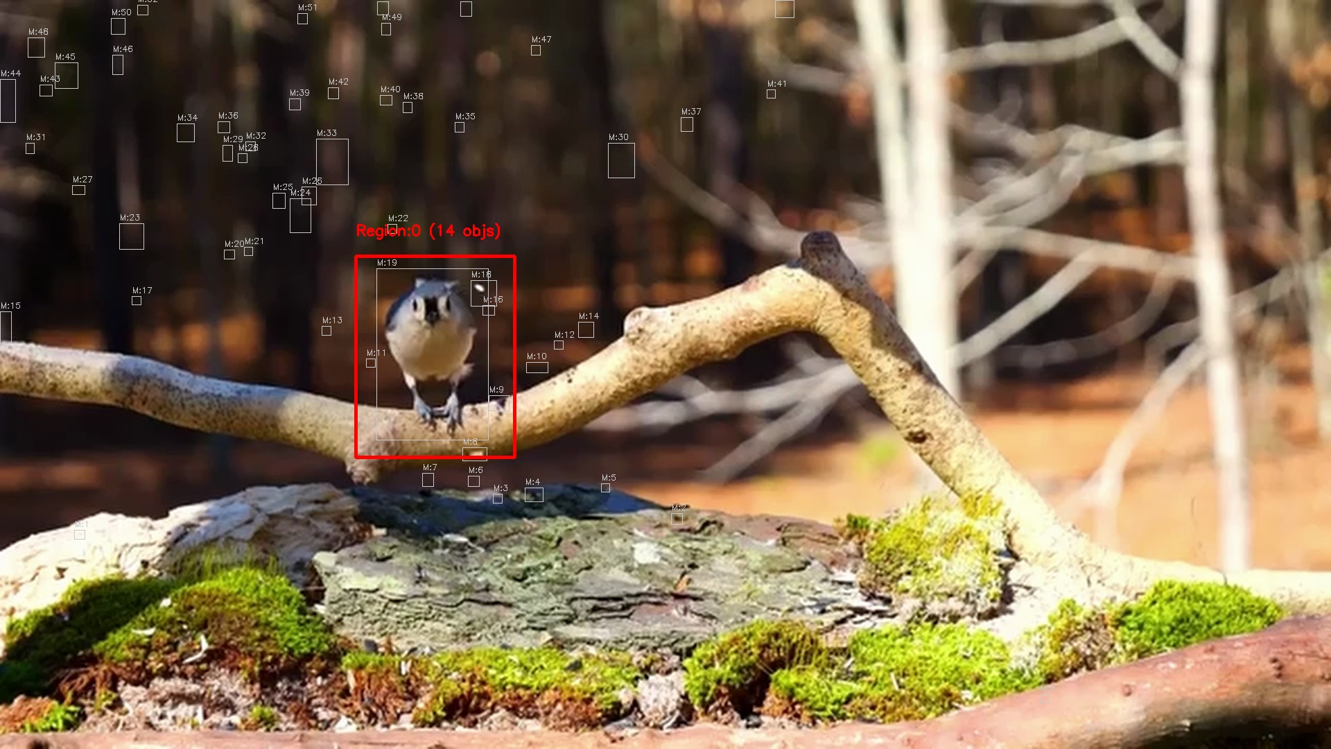 Motion detection frame 6