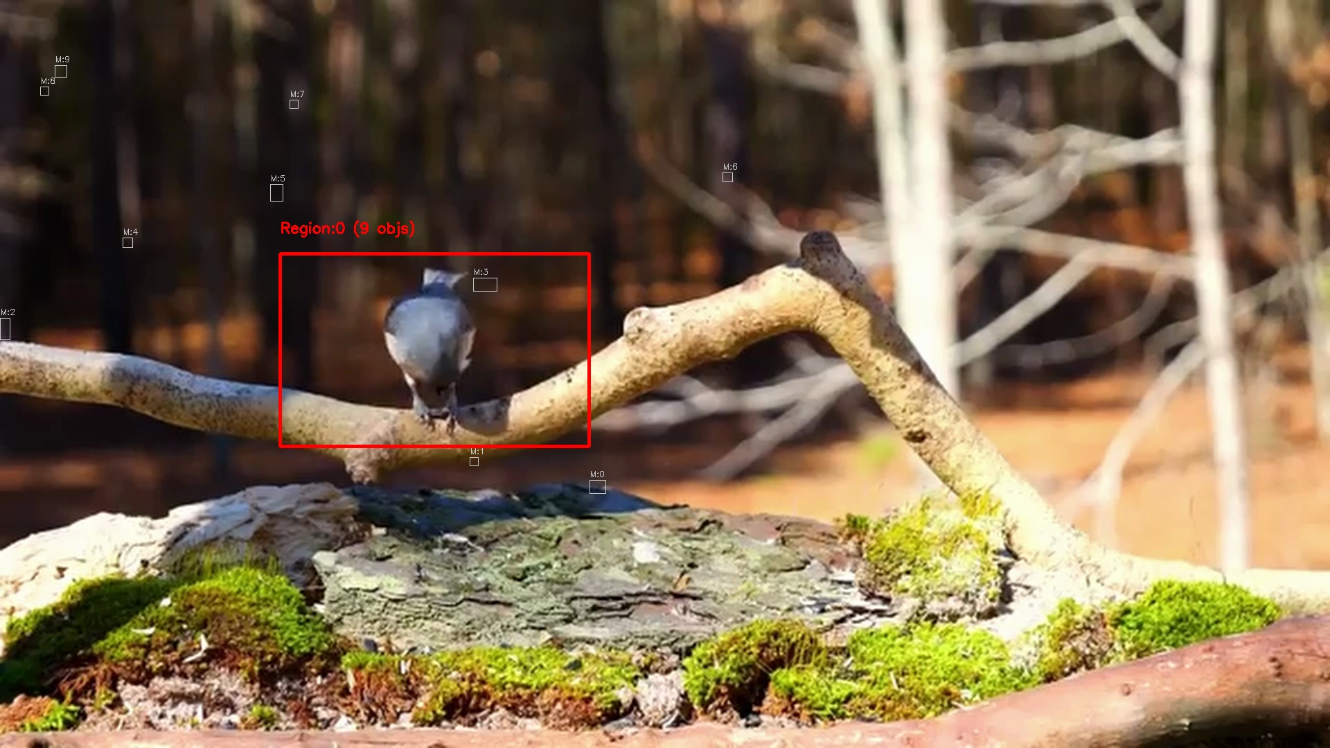 Motion detection frame 7