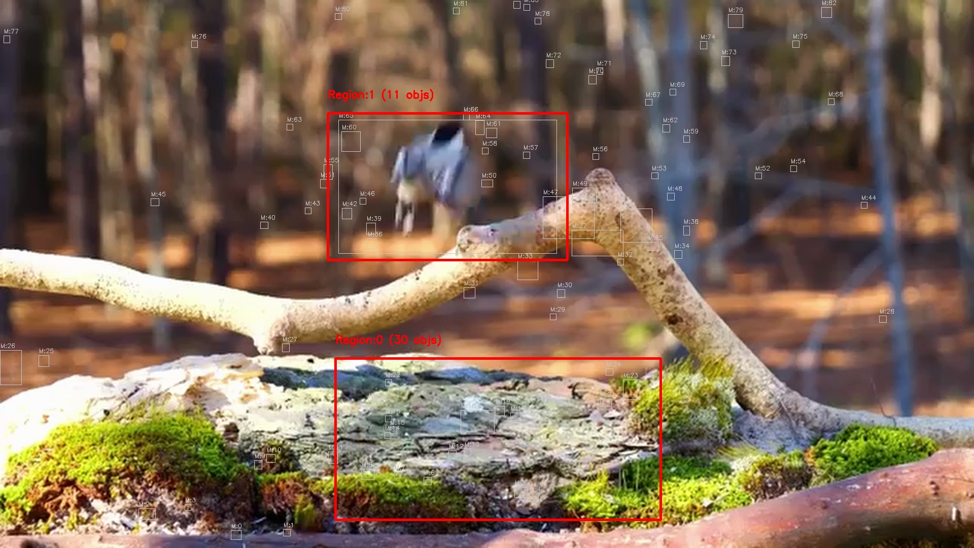 Motion detection frame 8