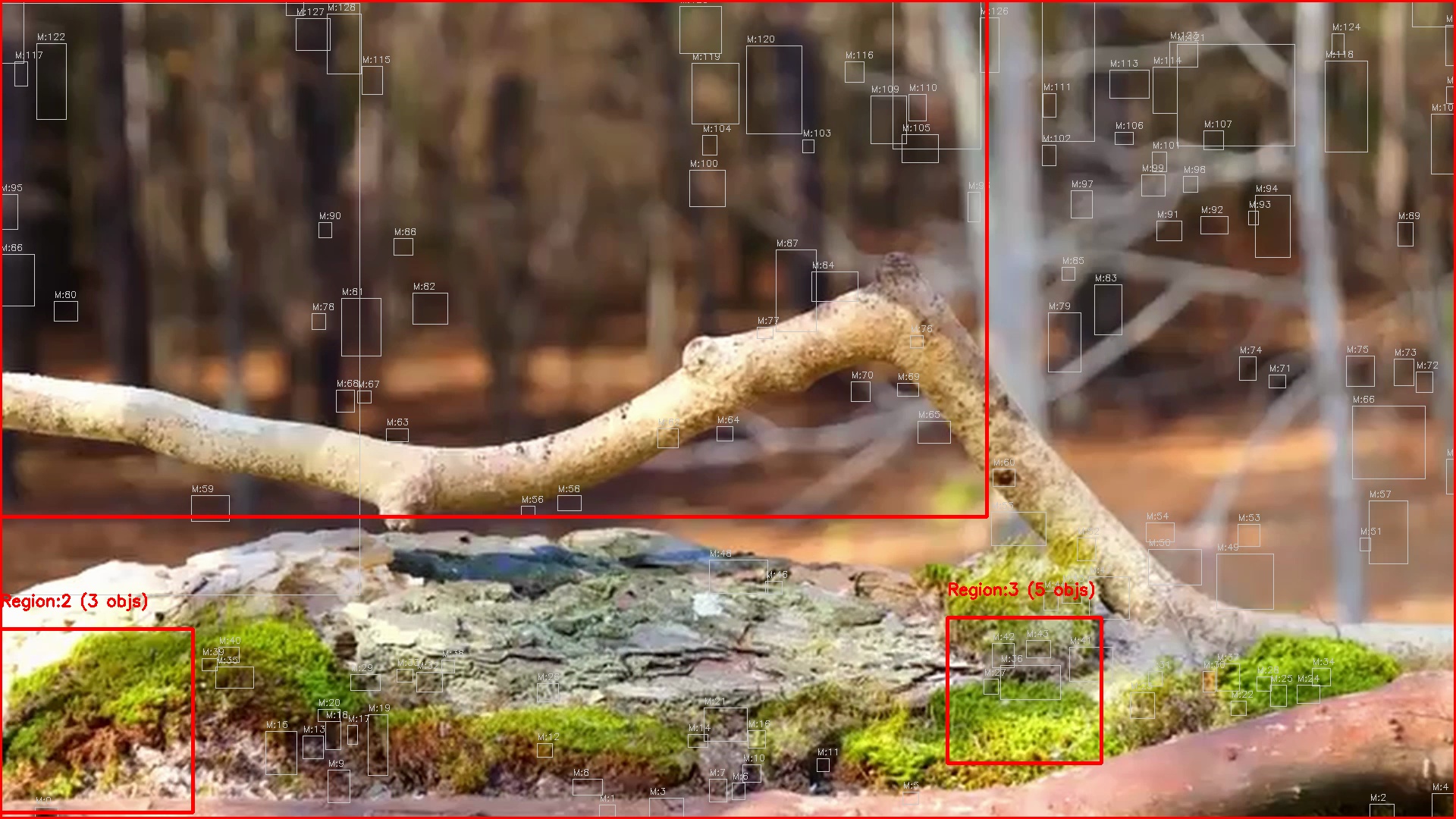 Motion detection frame 9