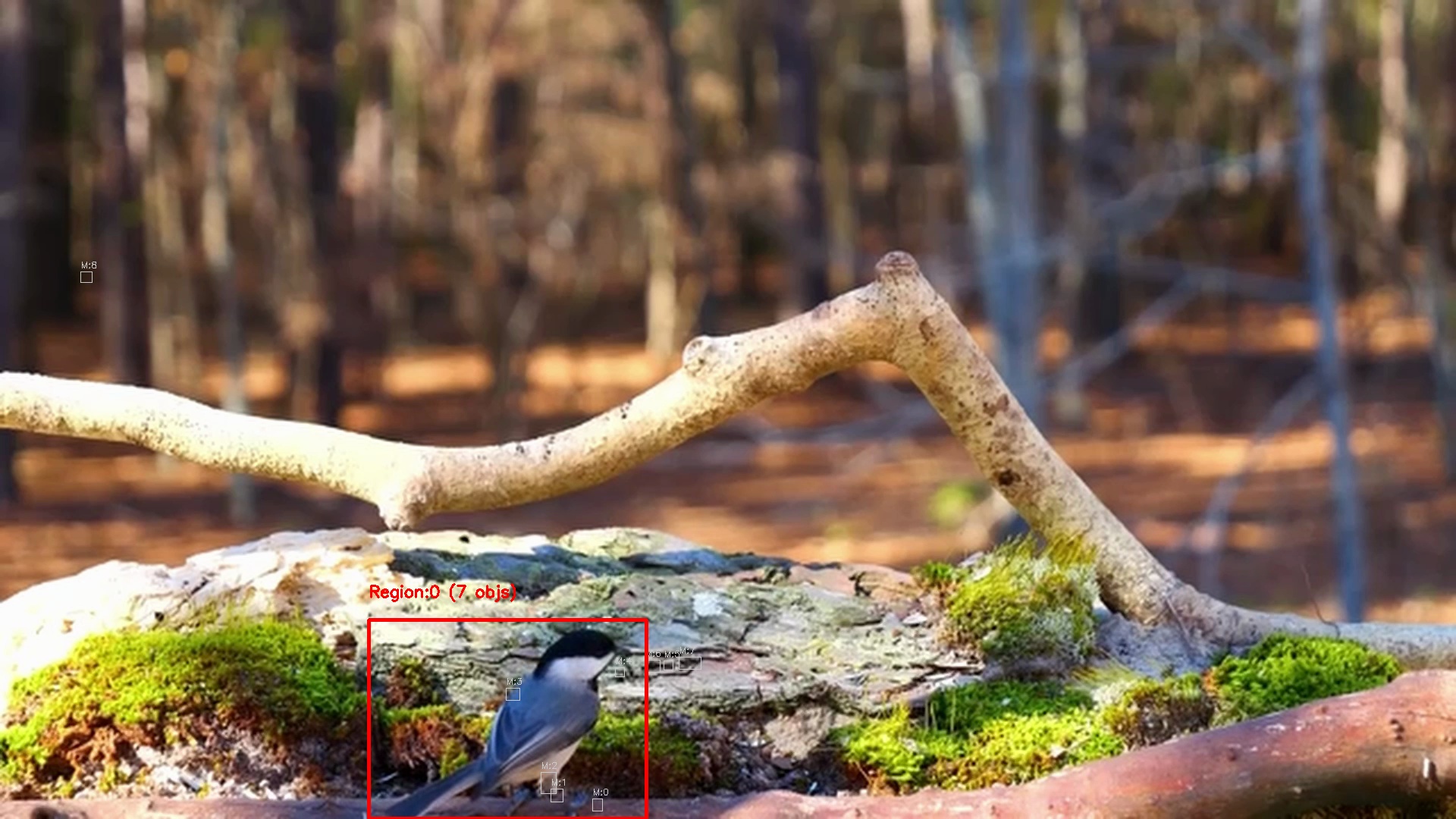 Motion detection frame 10