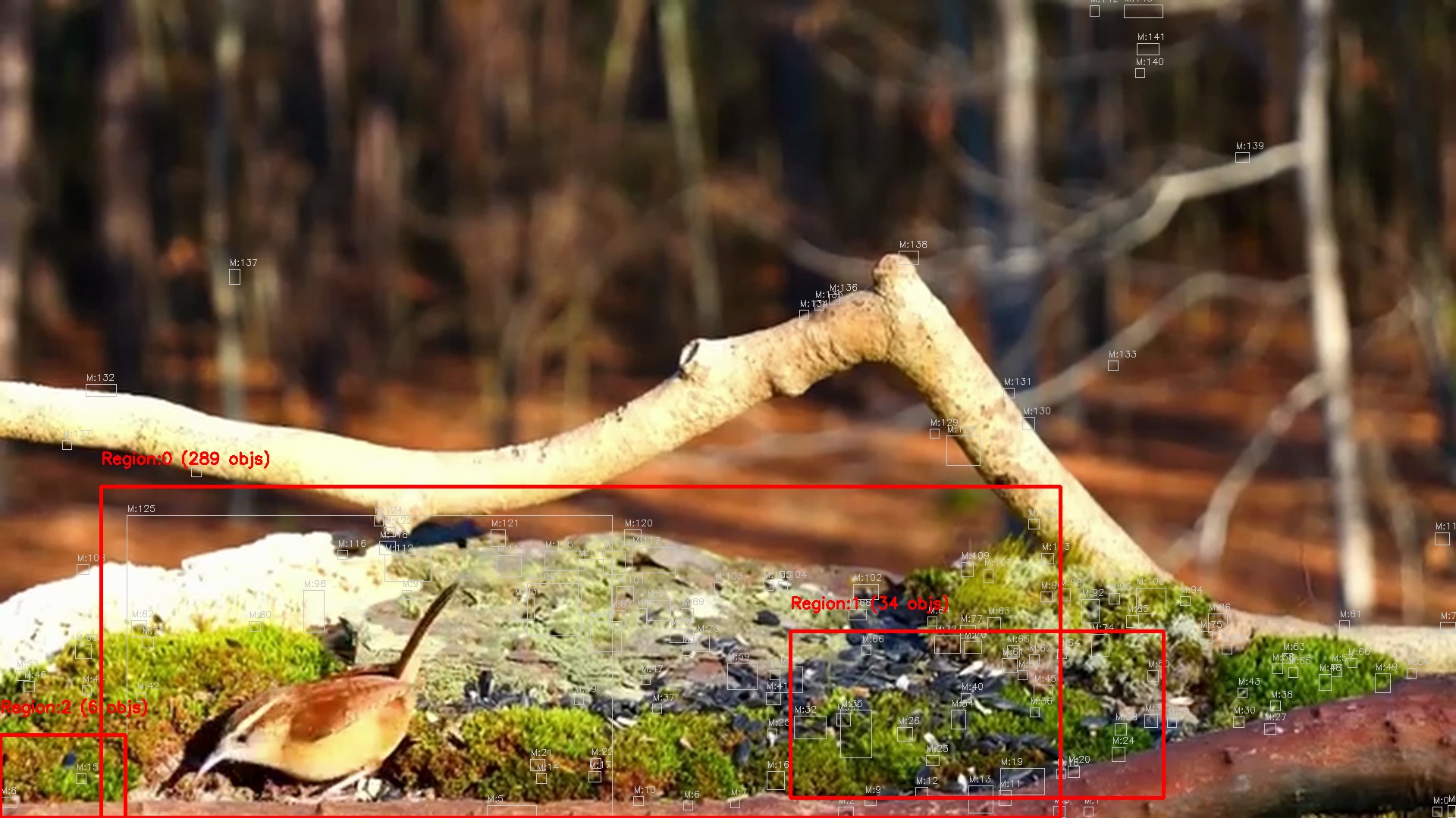 Motion detection frame 11