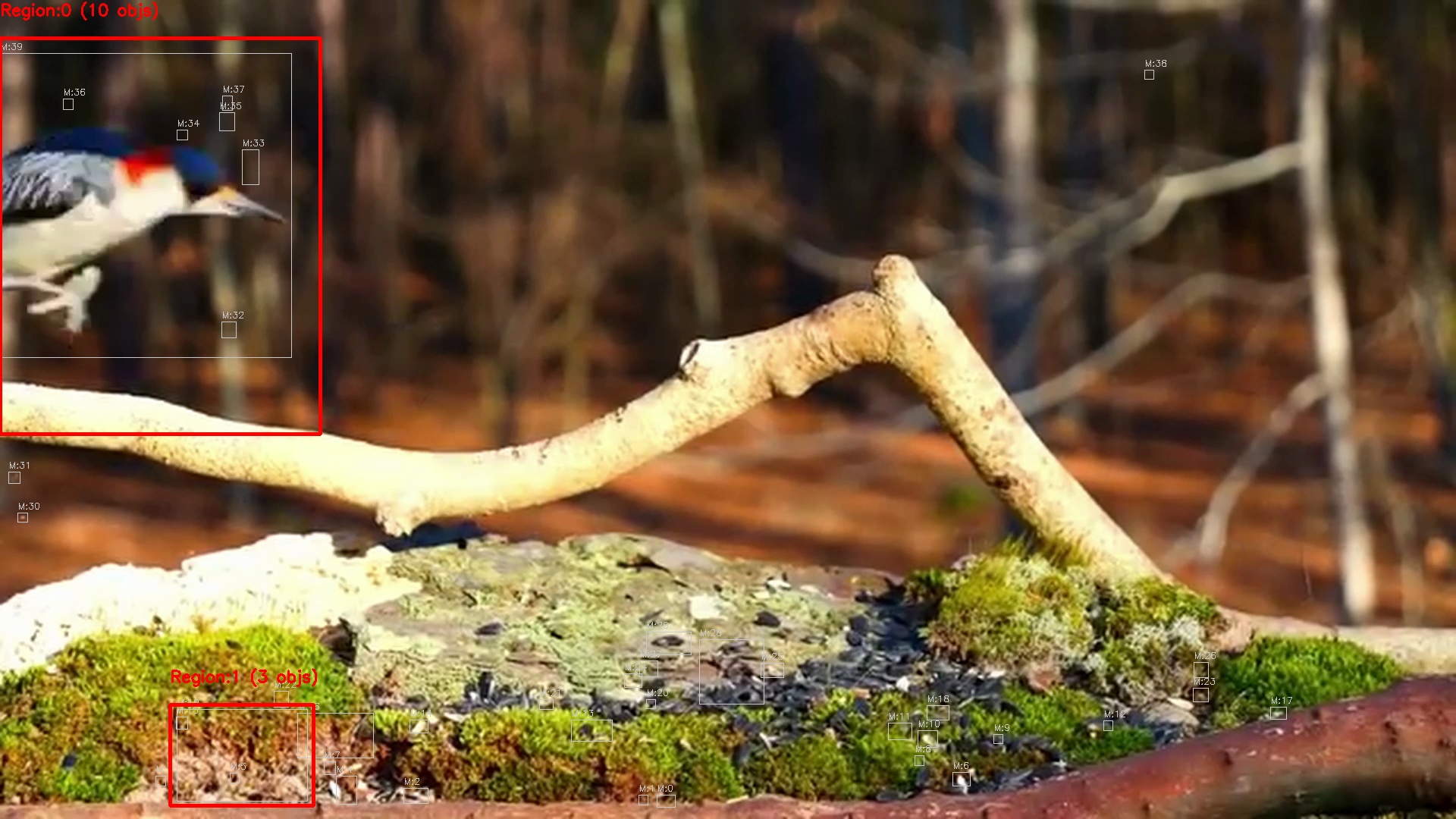 Motion detection frame 12