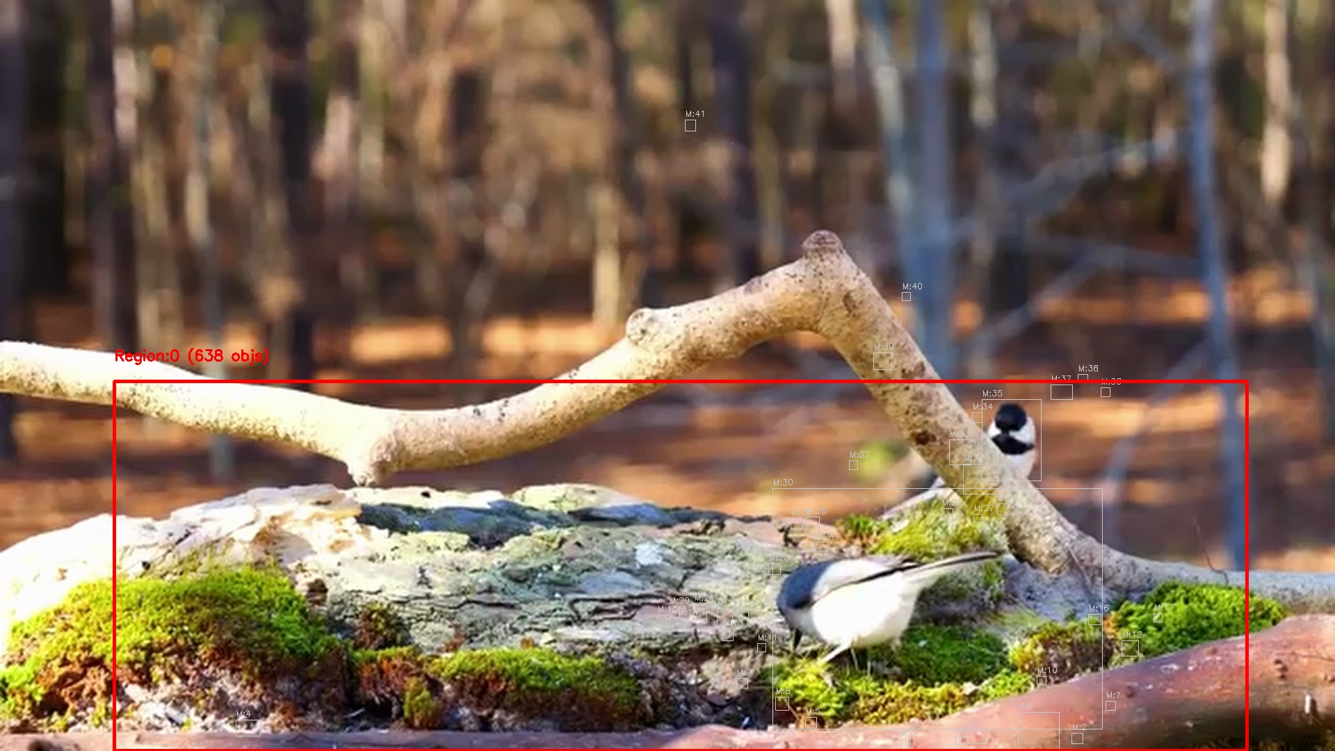 Motion detection frame 13