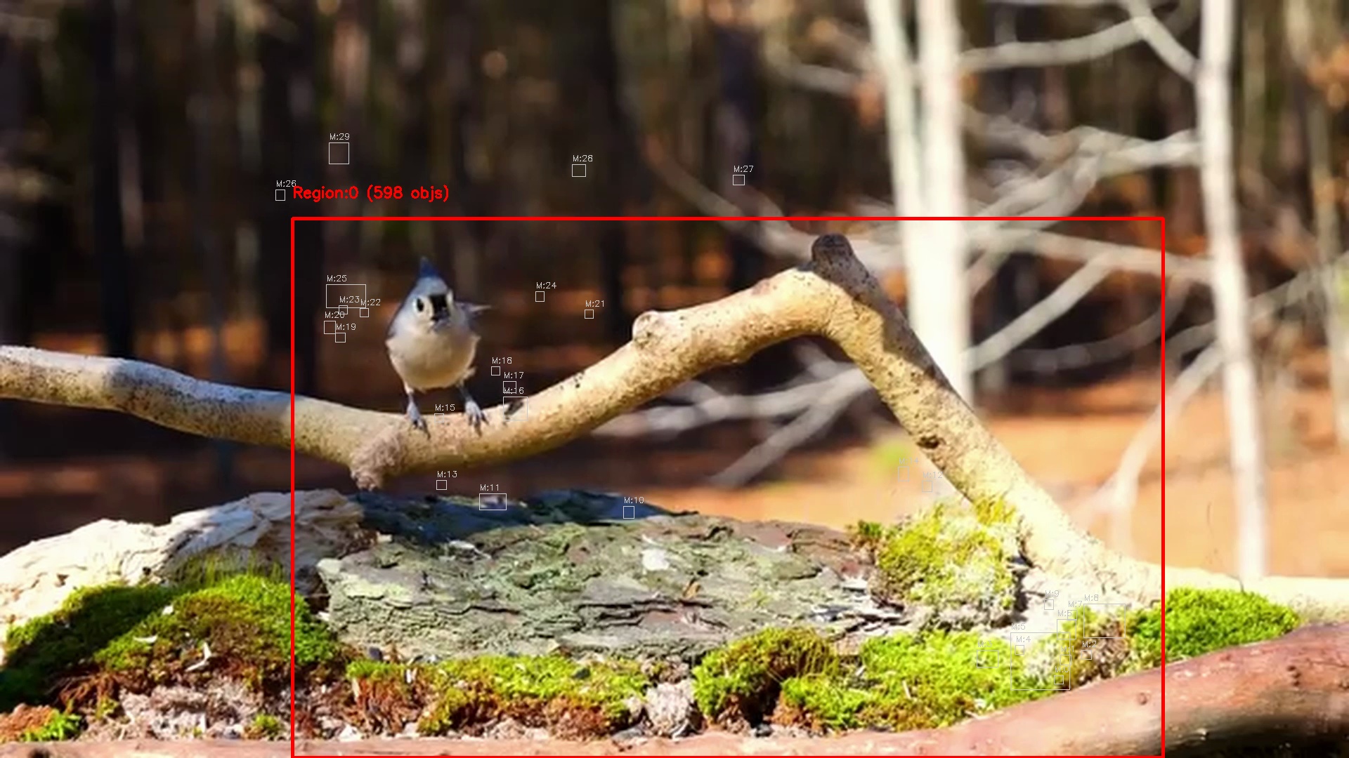 Motion detection frame 14