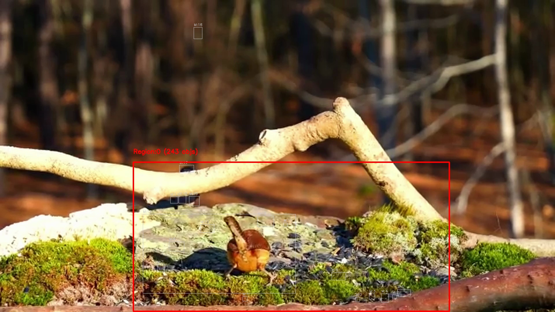 Motion detection frame 15