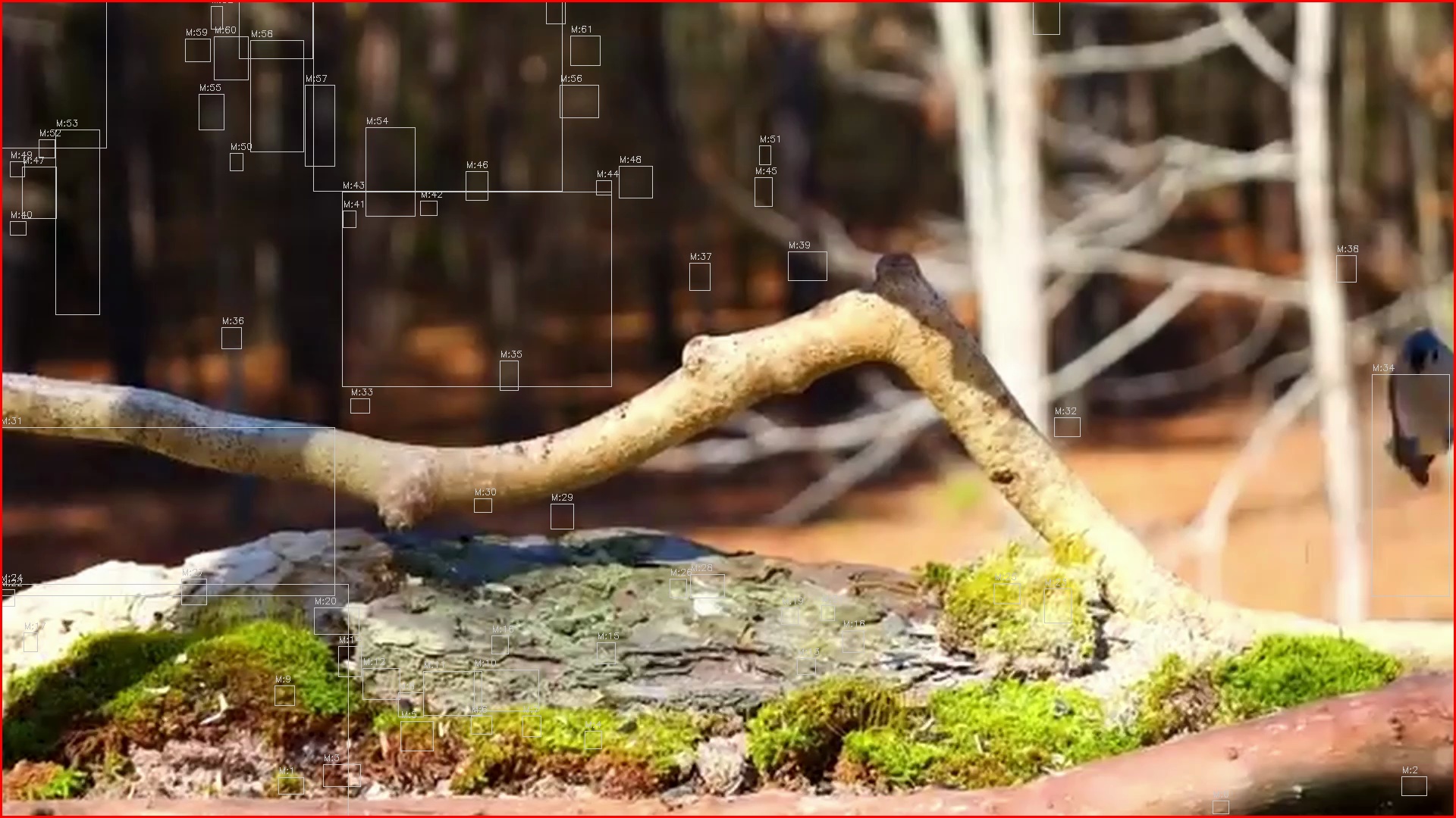 Motion detection frame 16