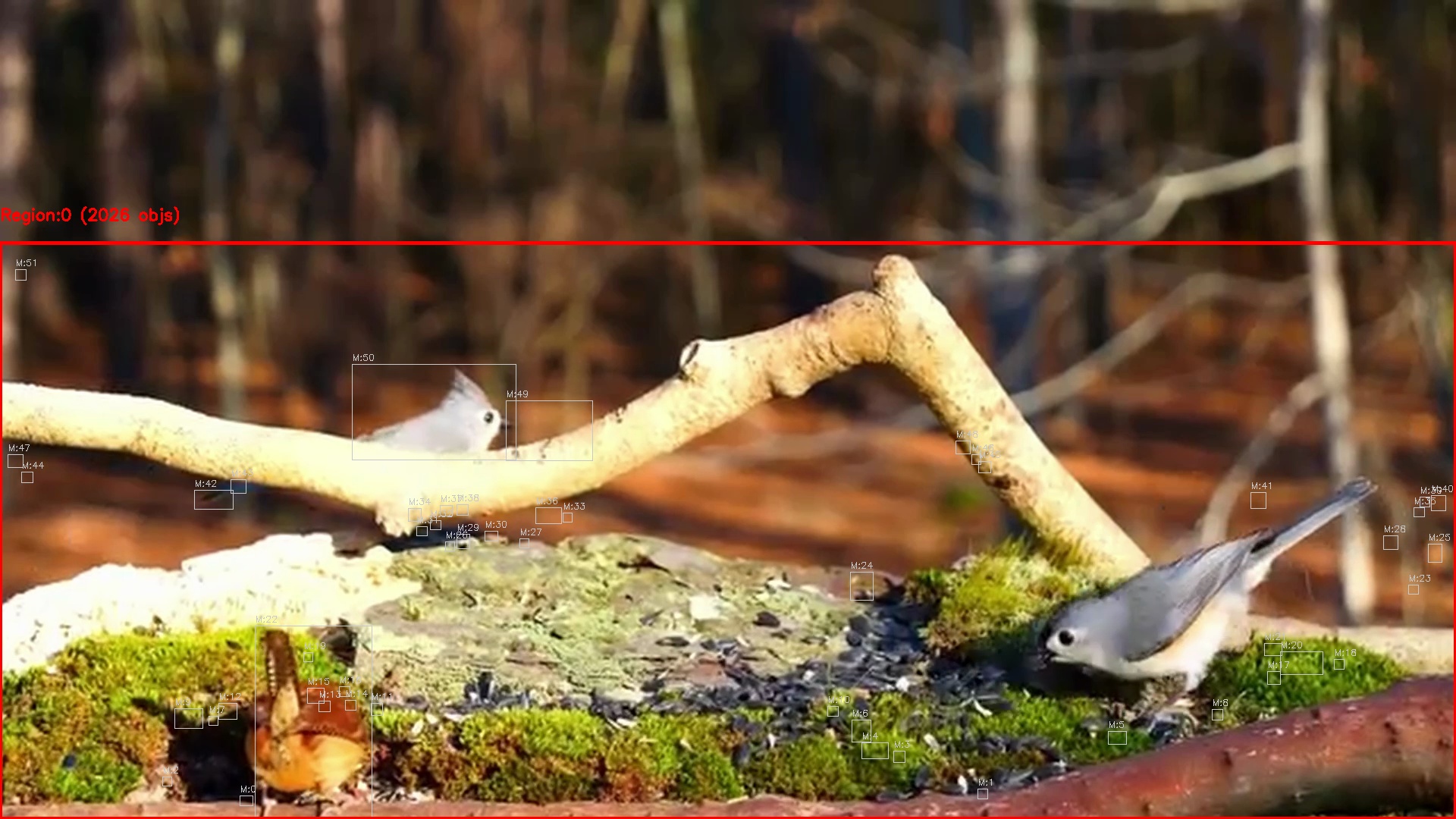 Motion detection frame 17