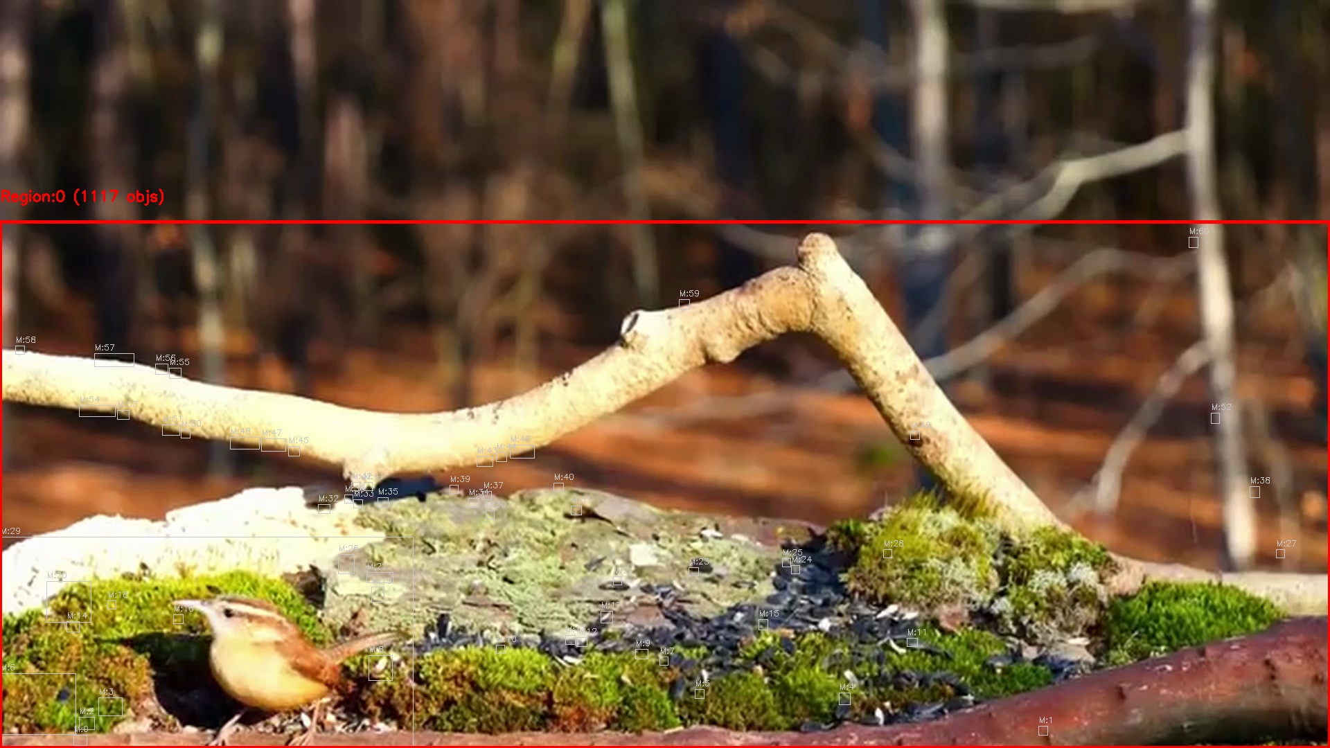 Motion detection frame 18