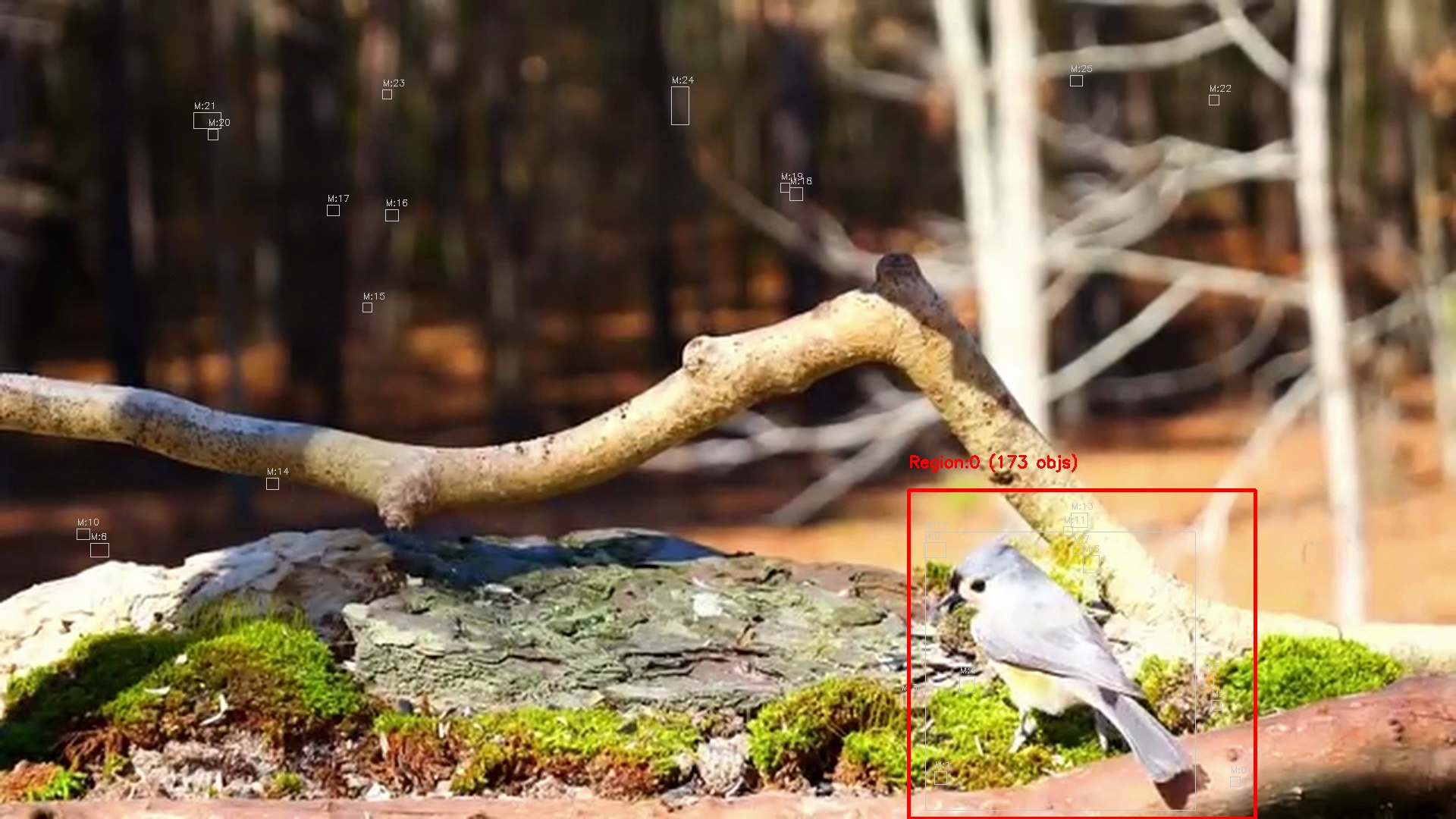 Motion detection frame 19