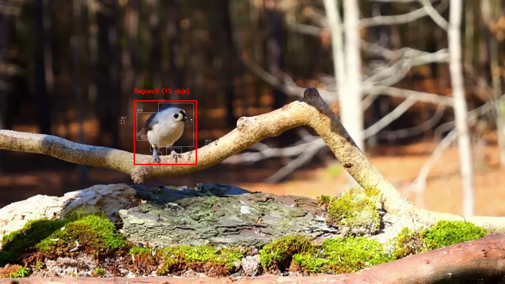 Motion detection frame 20